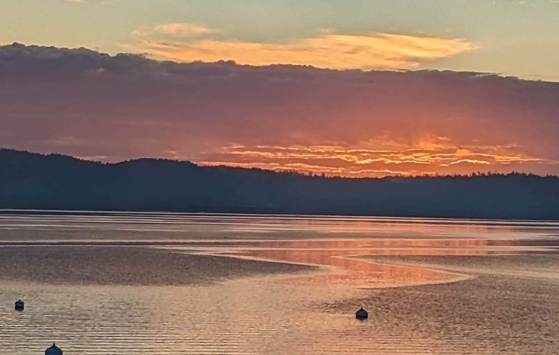 Photo of Others in North Oyster