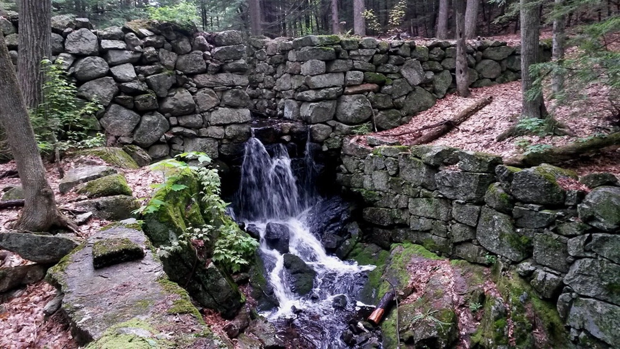 Photo of Outdoor in Meredith