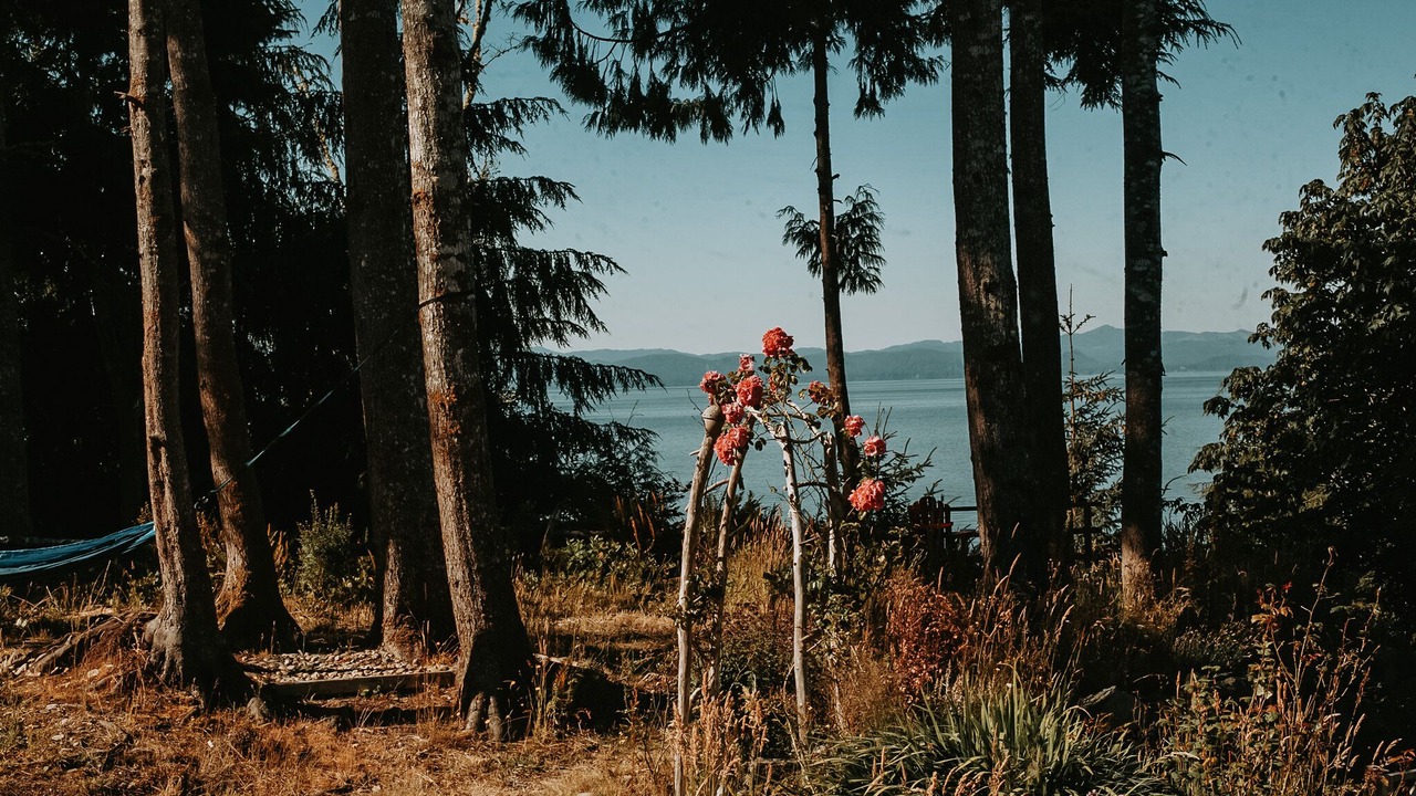 Photo of Others in Juan de Fuca Electoral Area