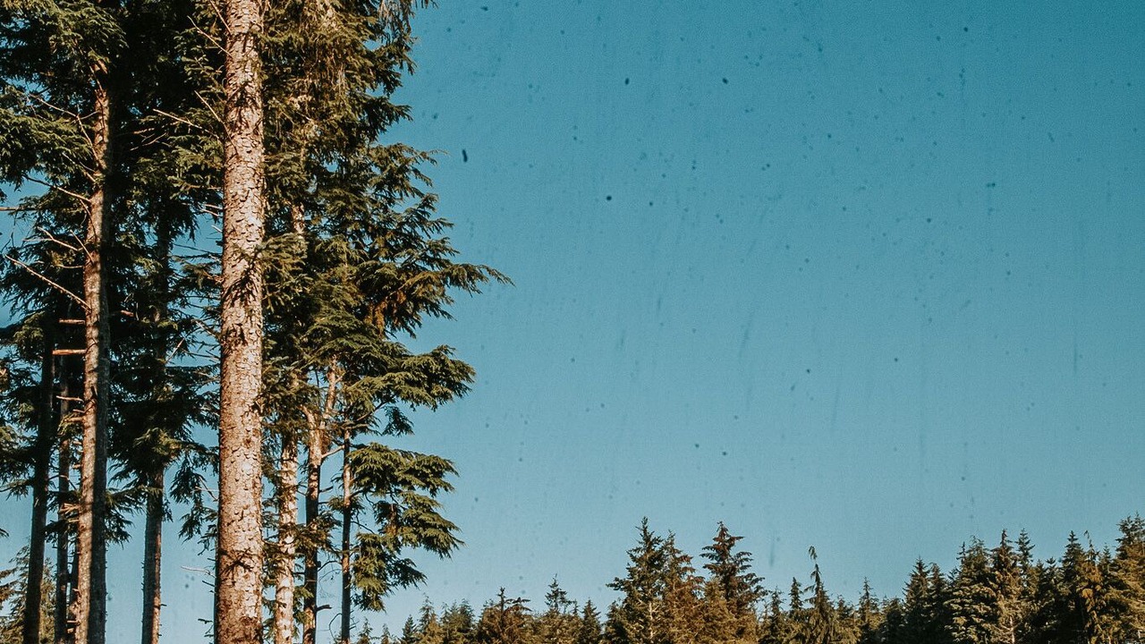 Photo of Outdoor in Juan de Fuca Electoral Area