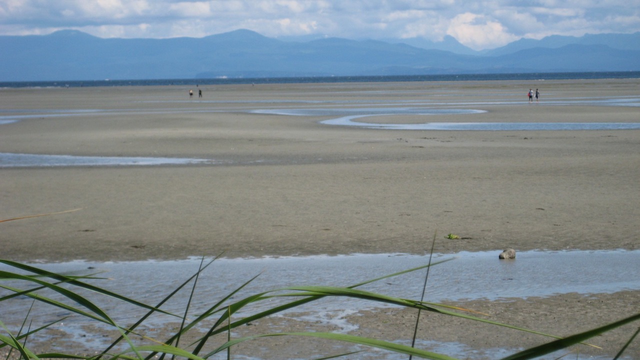 Photo of Others in Regional District of Nanaimo