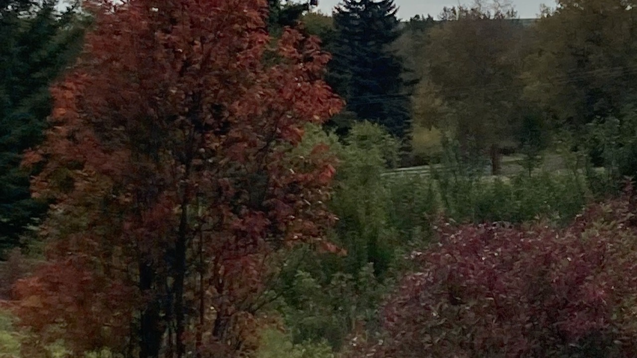 Photo of Outdoor in Griesbach