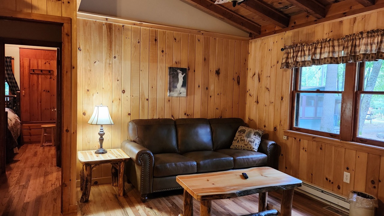 Photo of Livingroom in Lake George