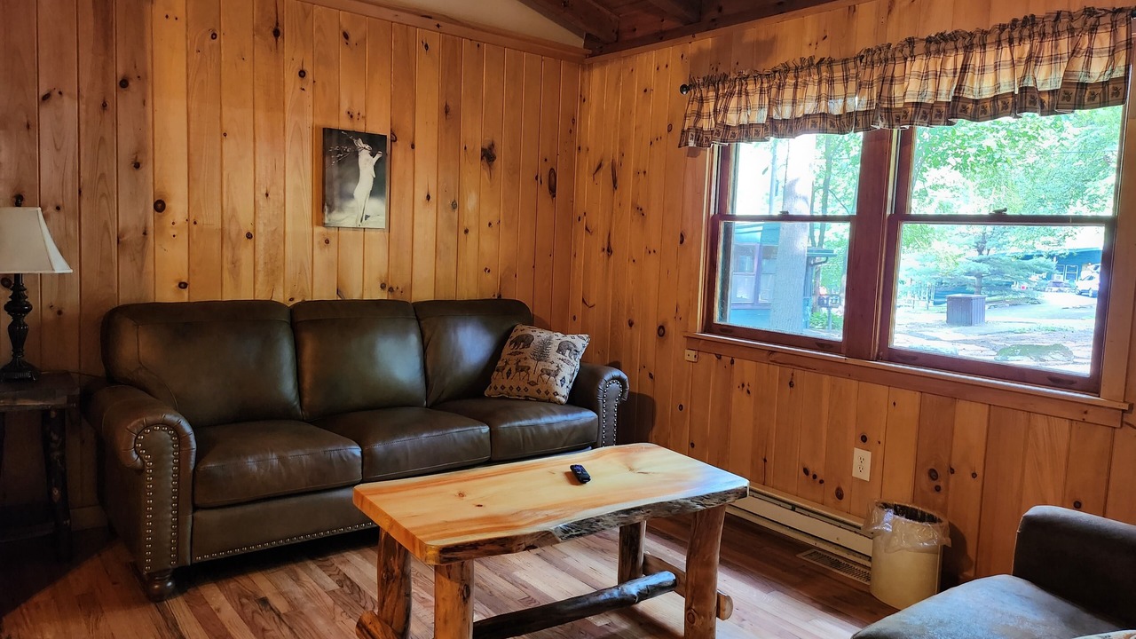 Photo of Livingroom in Lake George