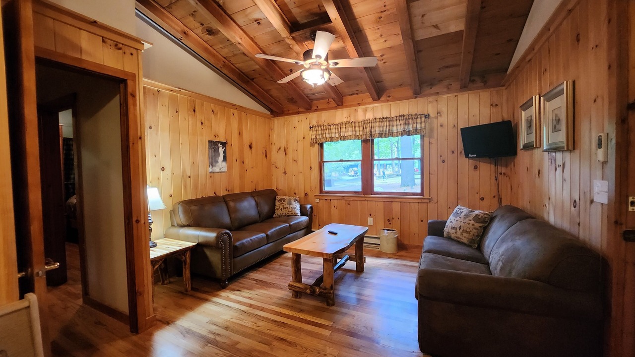 Photo of Livingroom in Lake George