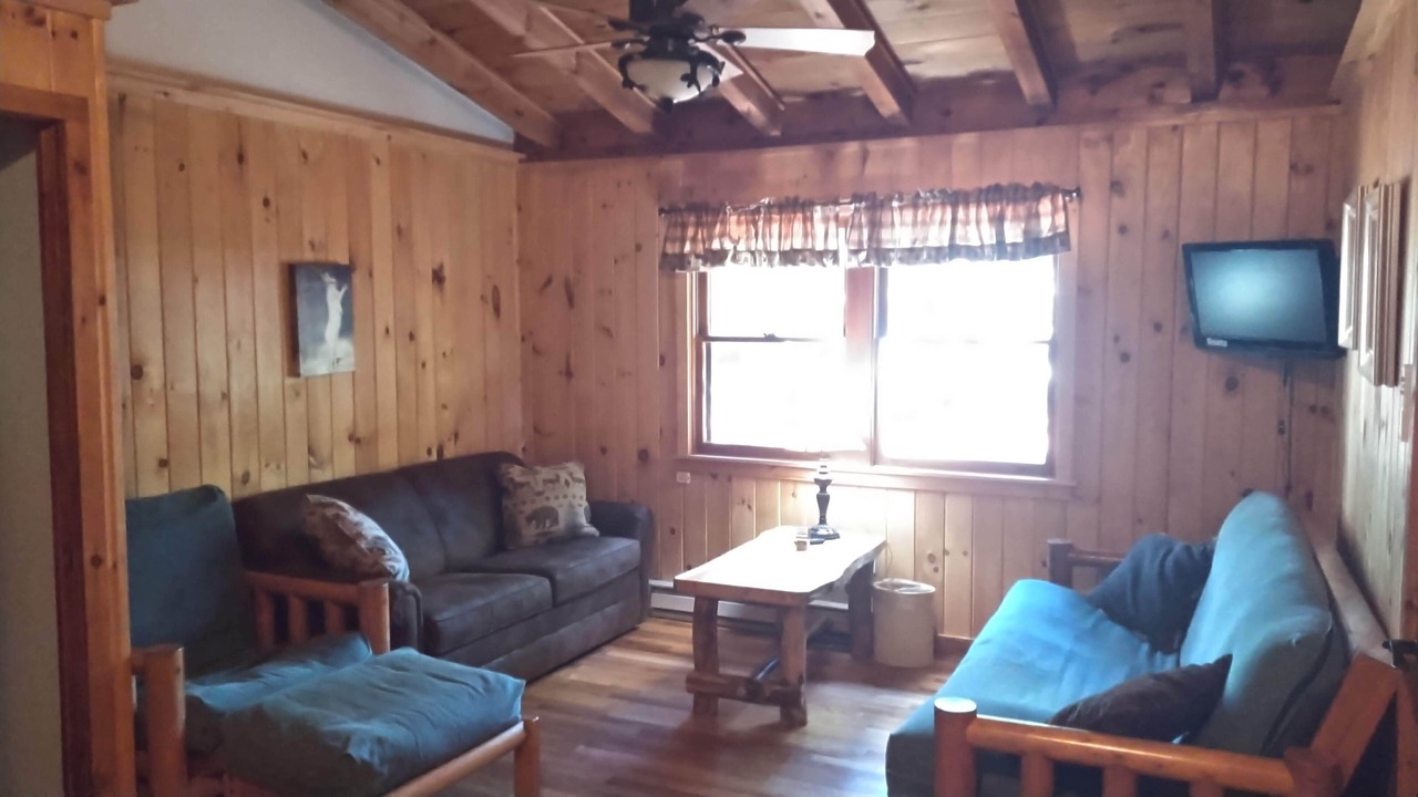 Photo of Livingroom in Lake George
