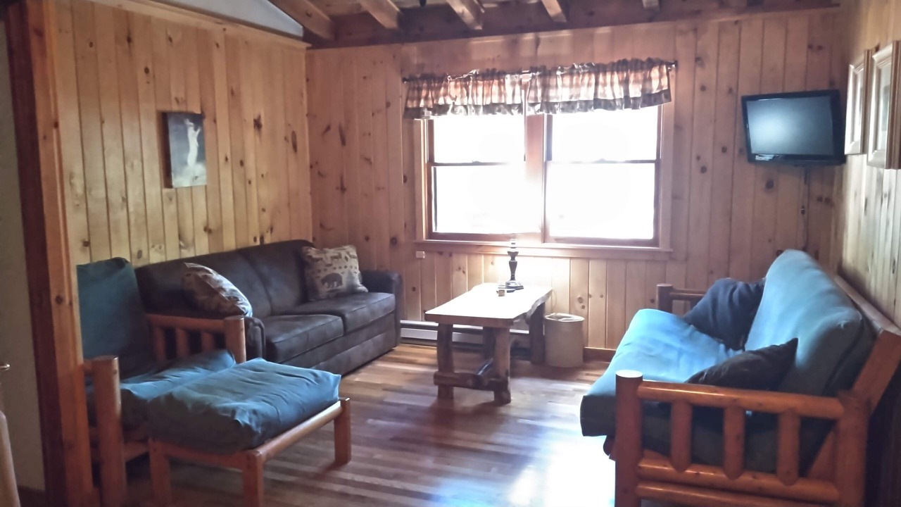 Photo of Livingroom in Lake George