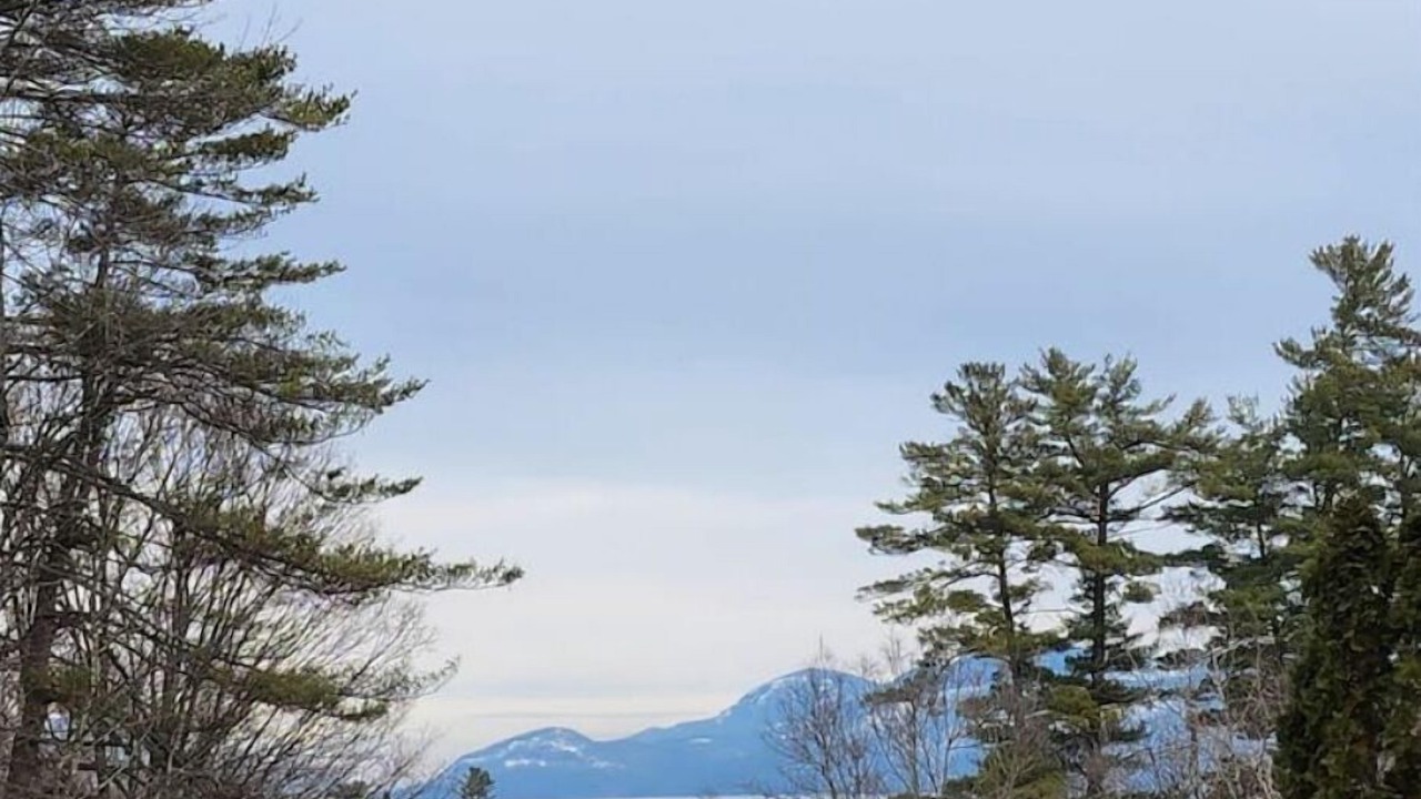 Photo of Others in Lake George
