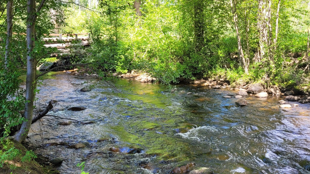 Photo of Others in Okanagan-Similkameen