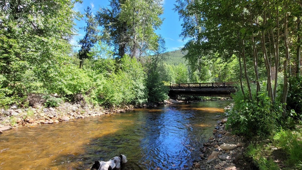Photo of Others in Okanagan-Similkameen