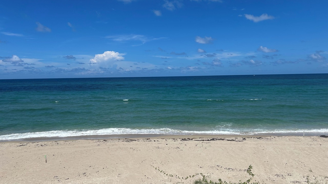 Photo of Others in Palm Beach
