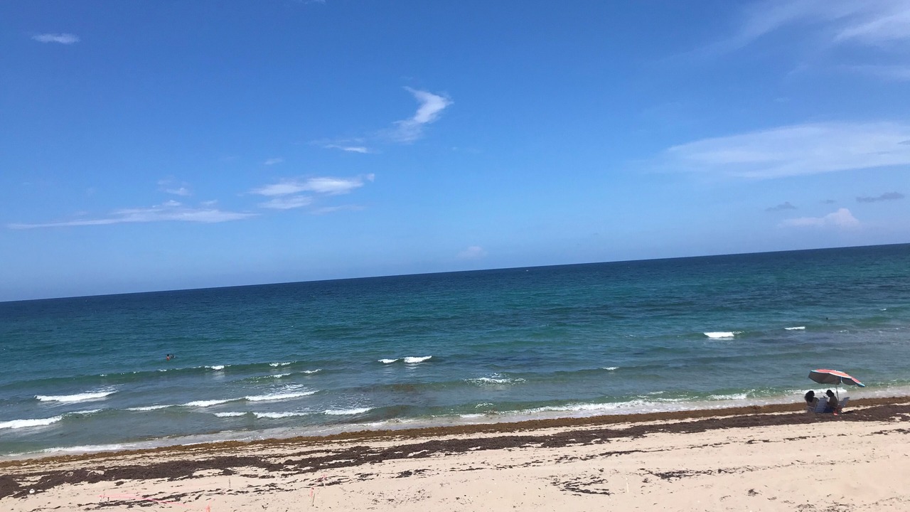 Photo of Others in Palm Beach