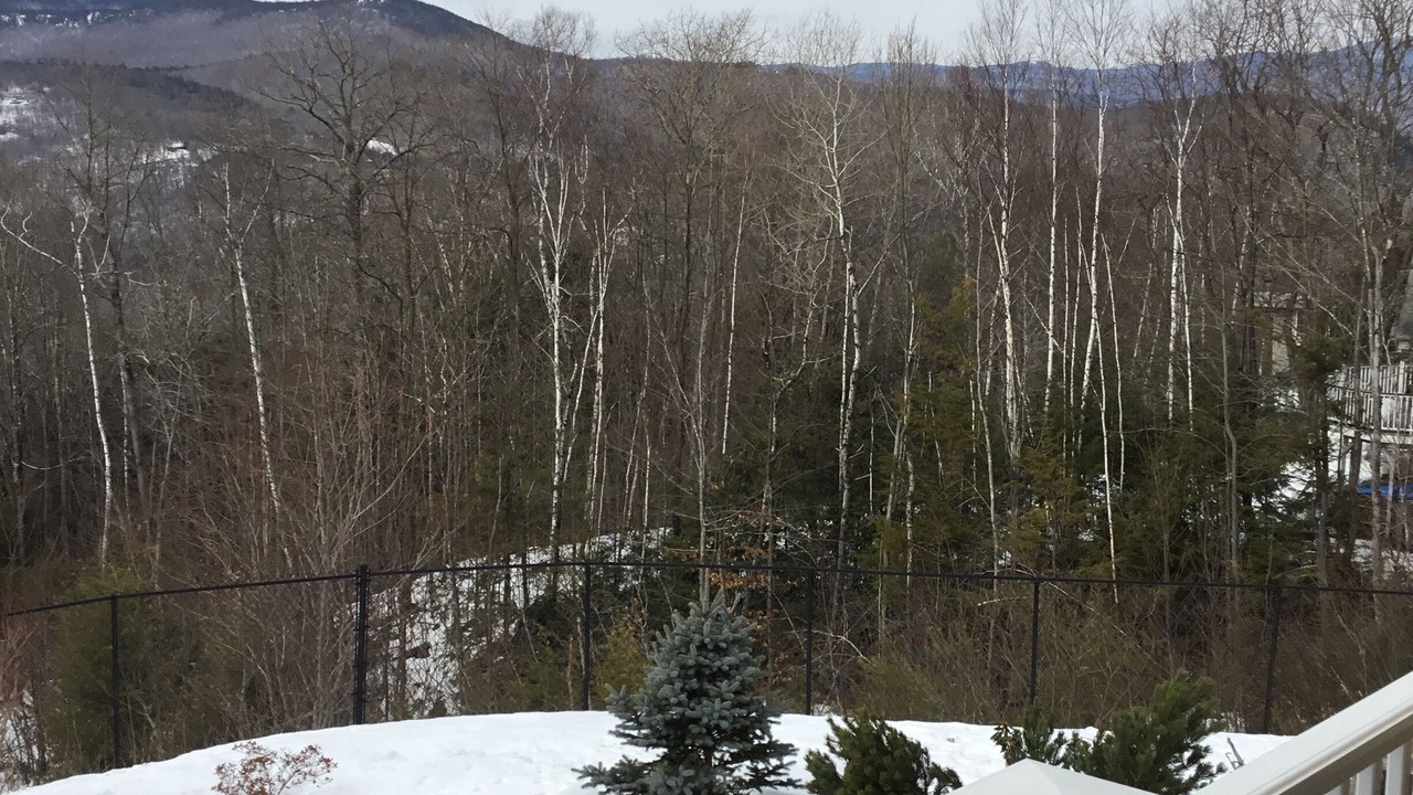 Photo of Outdoor in Jackson