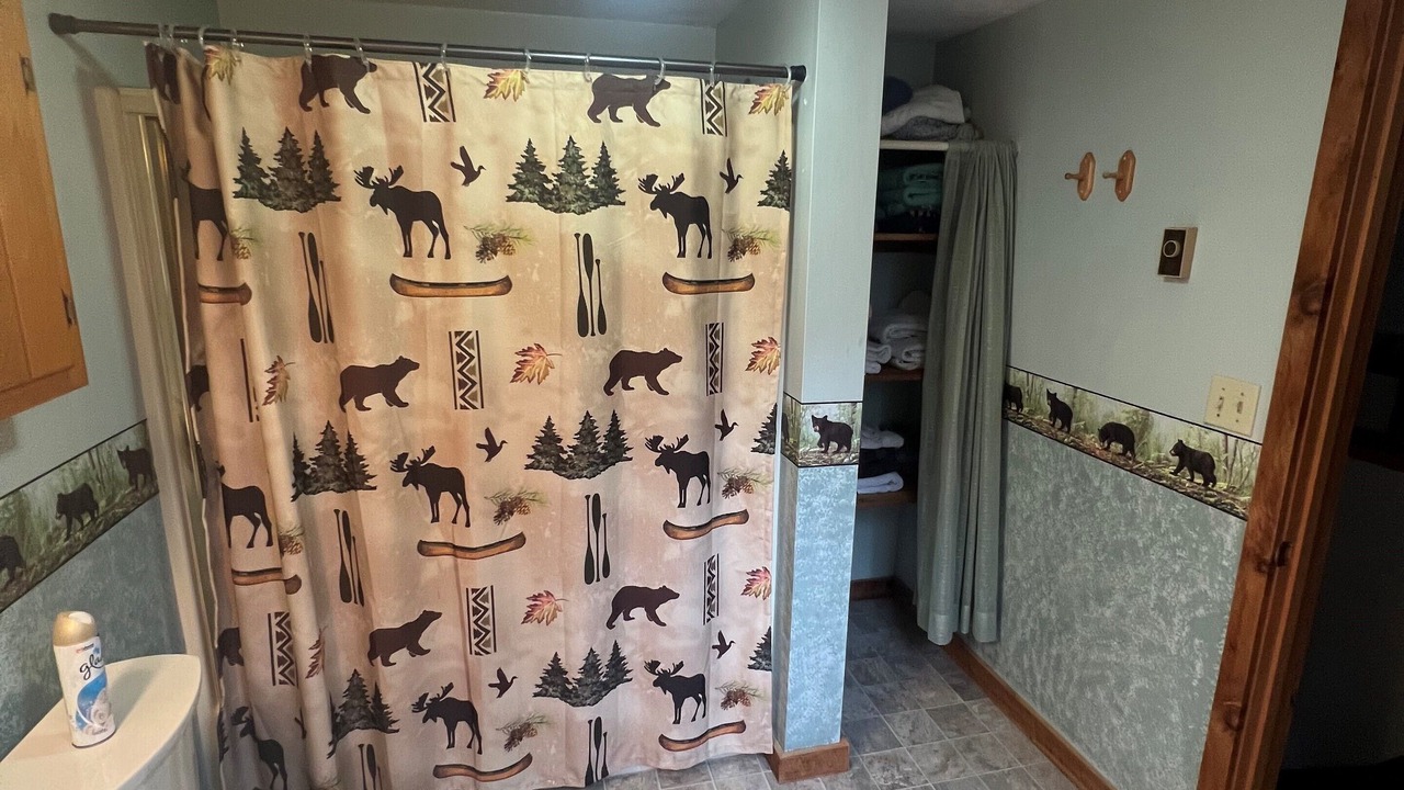 Photo of Bathroom in Bartlett
