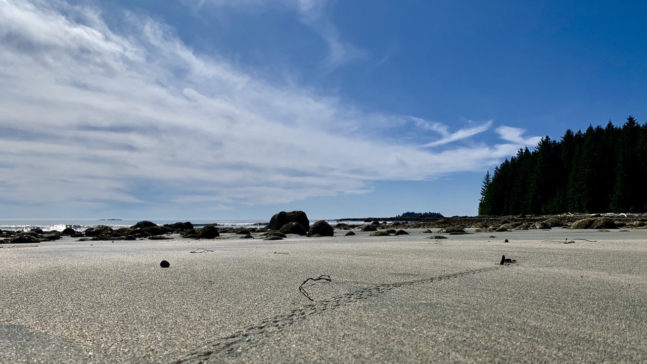 Photo of Others in Ucluelet