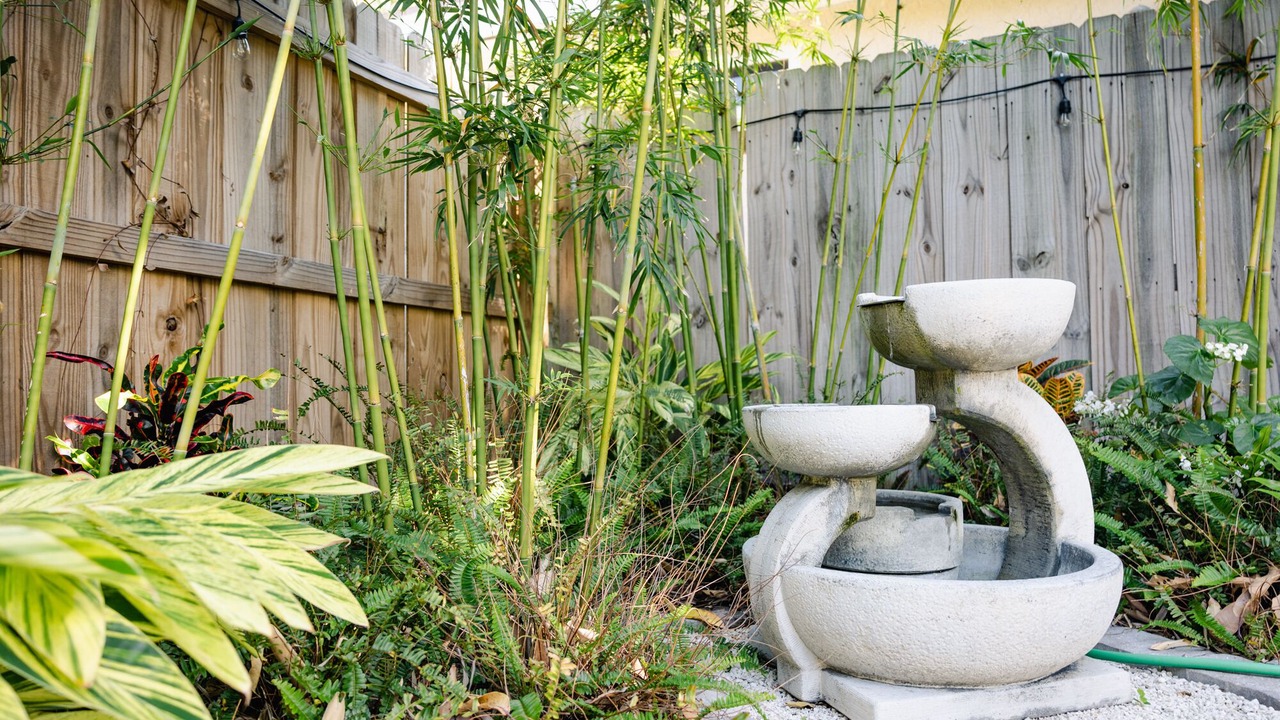 Photo of Outdoor in South Palm Park Neighborhood Association
