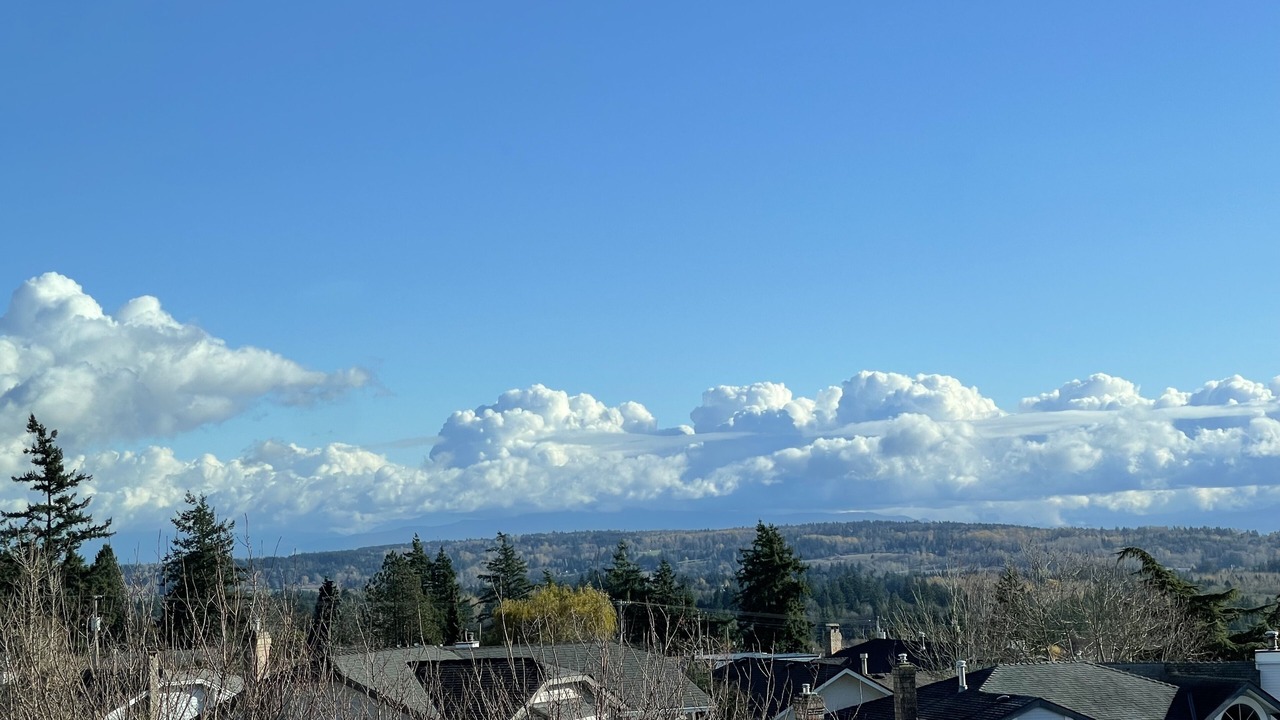 Photo of Others in White Rock