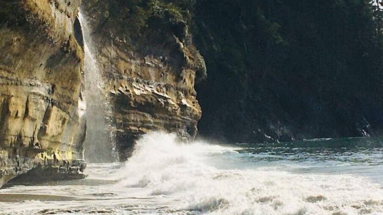 Photo of Others in Juan de Fuca Electoral Area