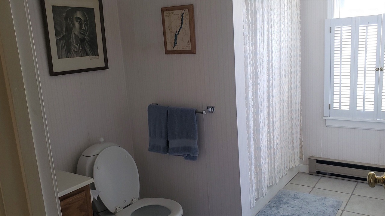 Photo of Bathroom in Huletts Landing