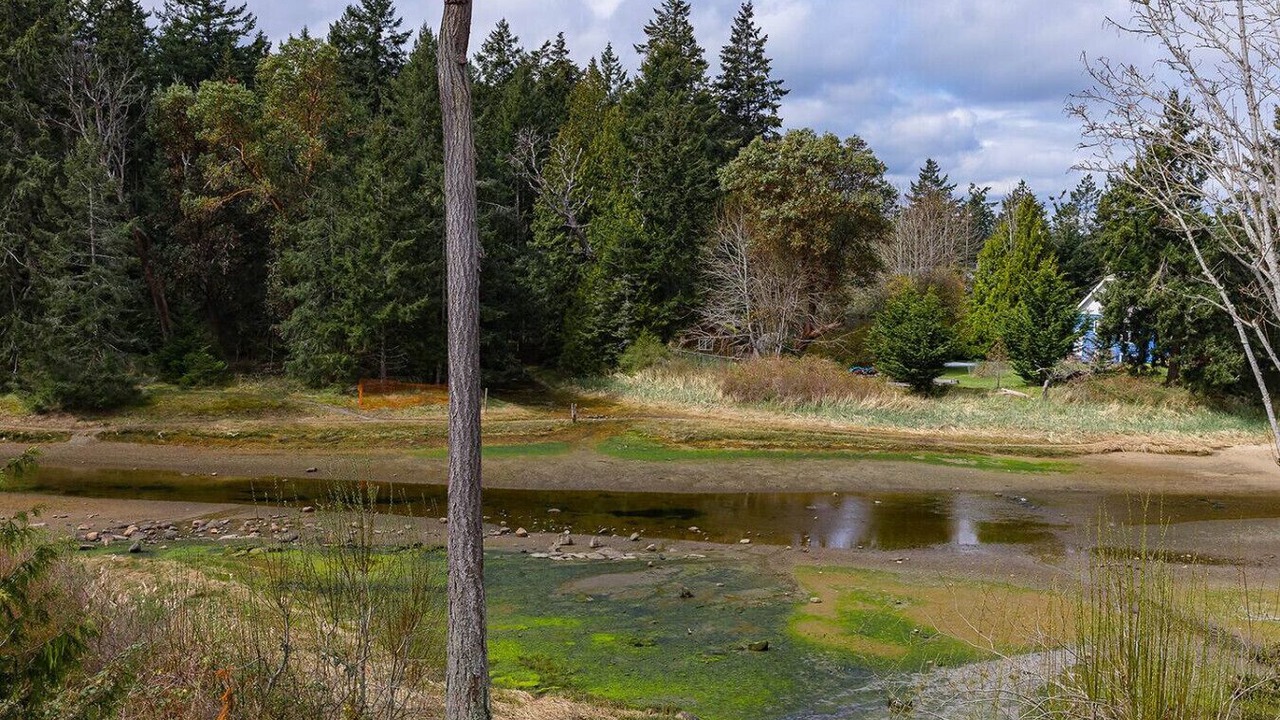 Photo of Others in Regional District of Nanaimo