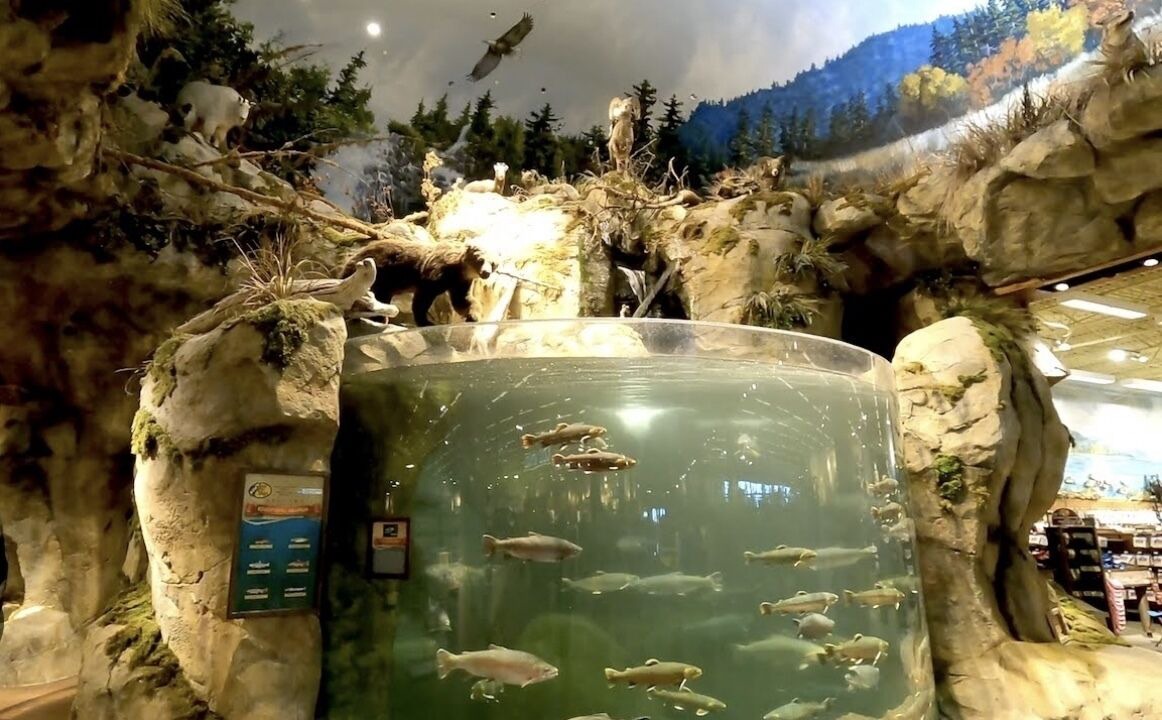Photo of Others in Delta