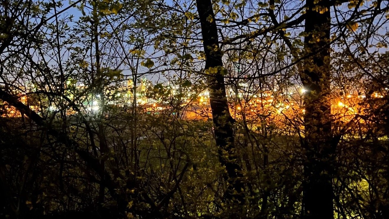 Photo of Outdoor in Tremont