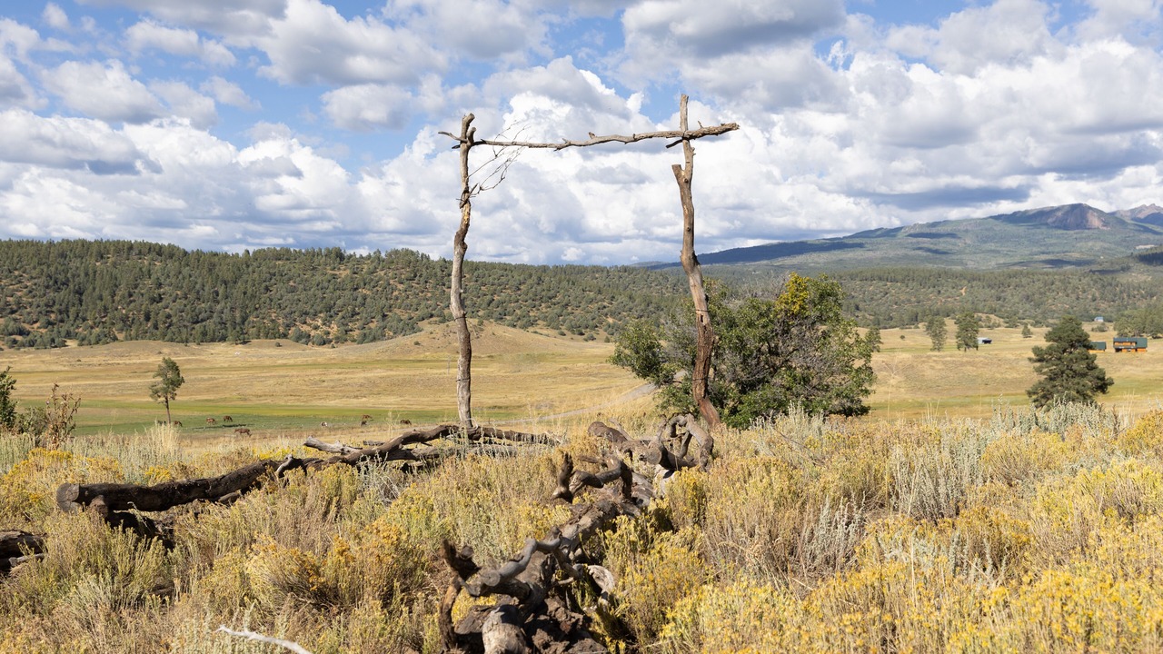 Photo of Others in Pagosa Springs
