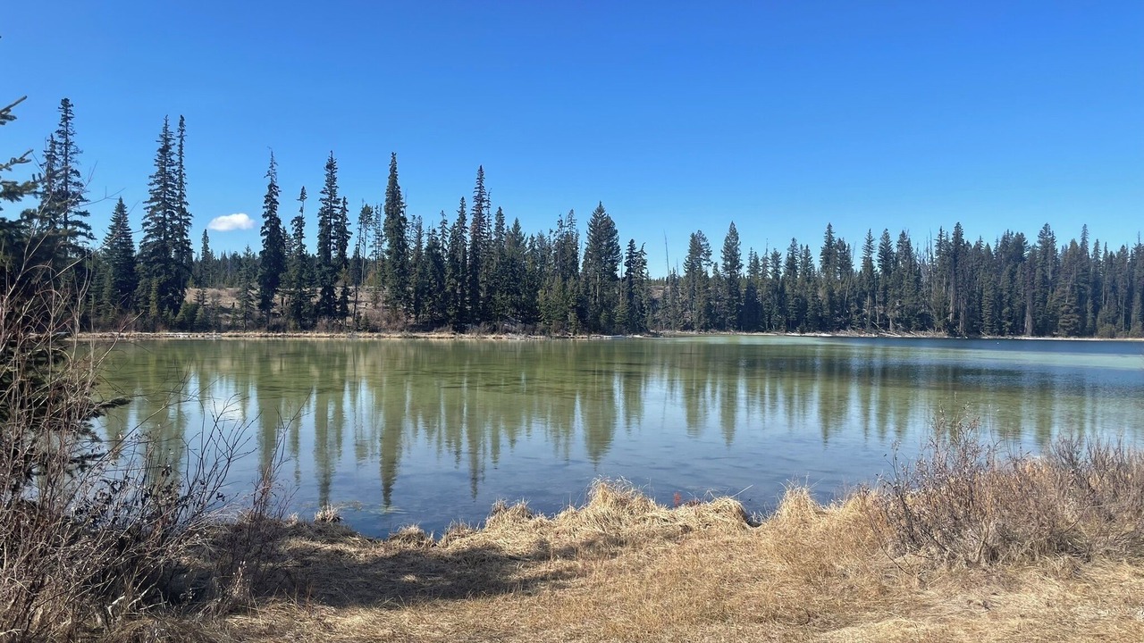 Photo of Bathroom in Lac Le Jeune