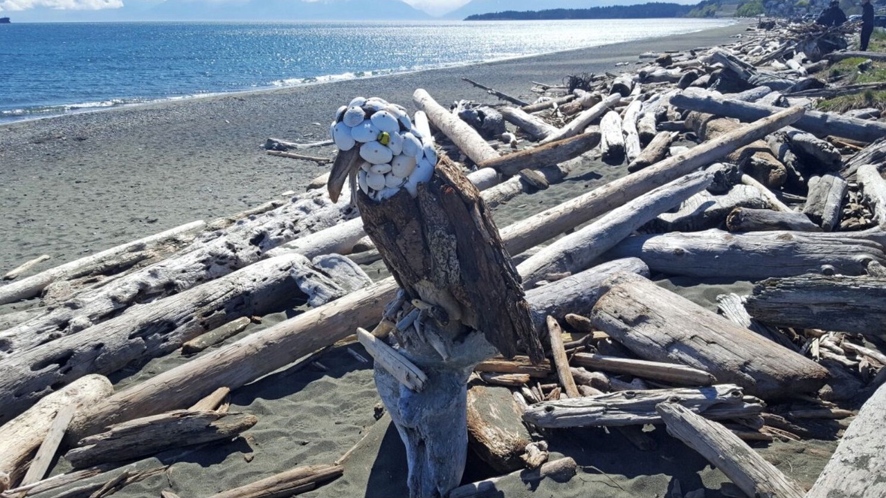 Photo of Others in Colwood