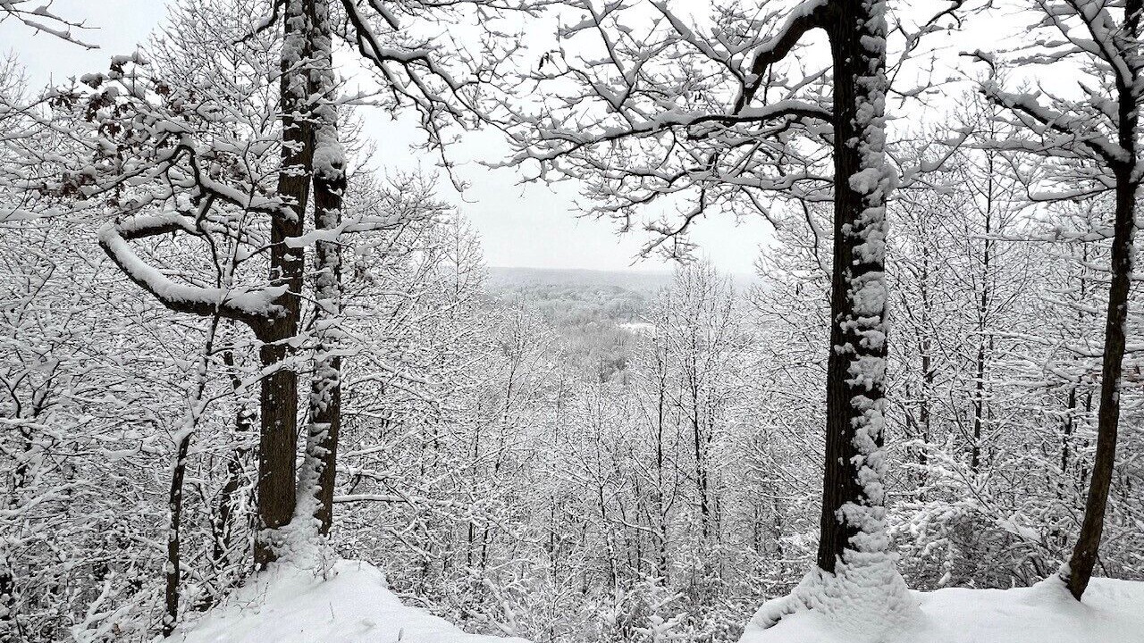 Photo of Others in Cuyahoga Falls