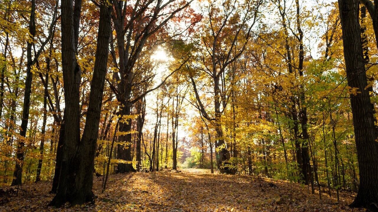 Photo of Outdoor in Cuyahoga Falls