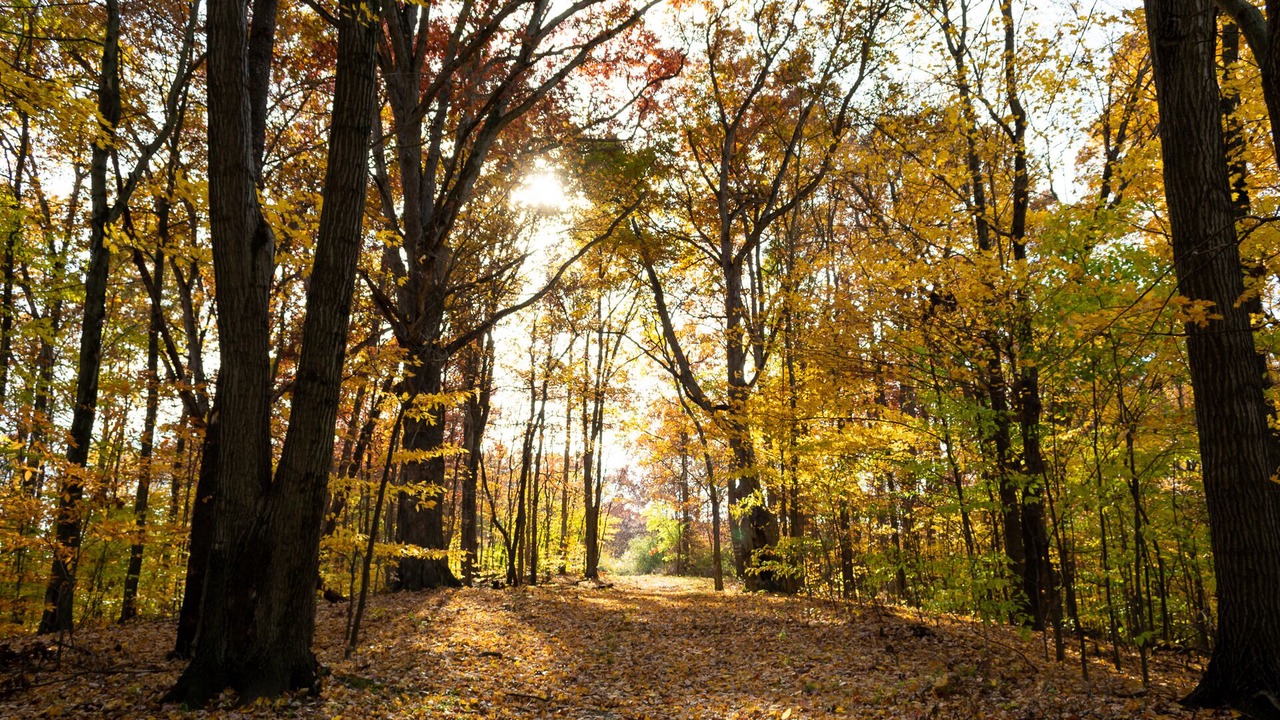 Photo of Others in Cuyahoga Falls