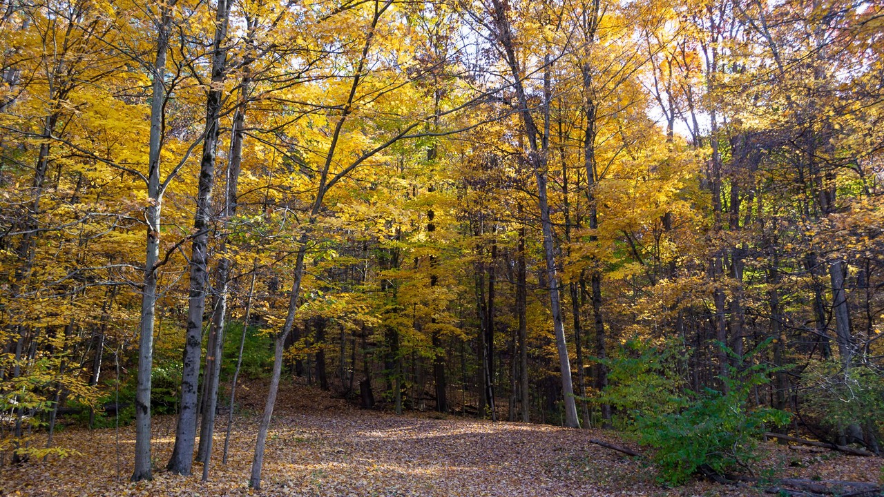 Photo of Outdoor in Cuyahoga Falls