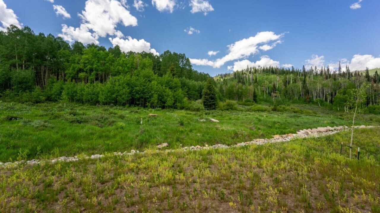 Photo of Others in Silverthorne