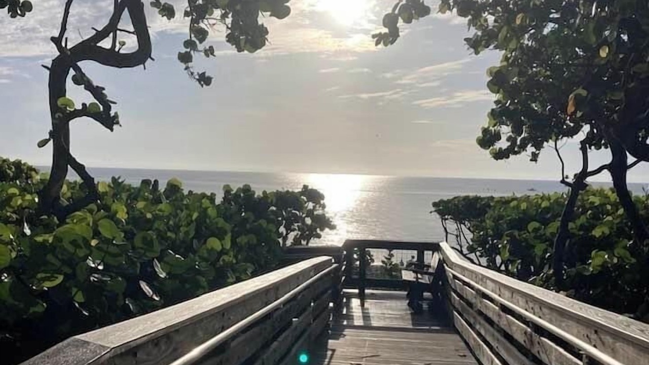 Photo of Others in Jupiter Bay
