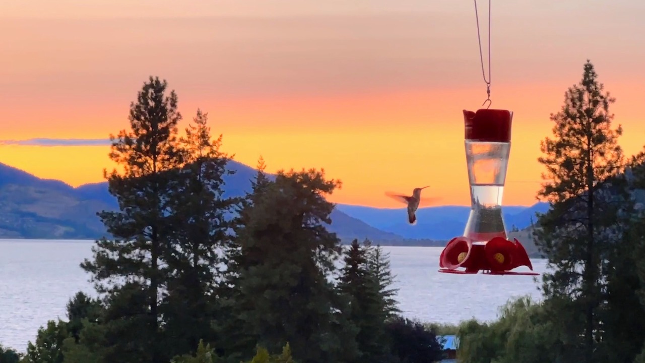 Photo of Outdoor in Okanagan-Similkameen