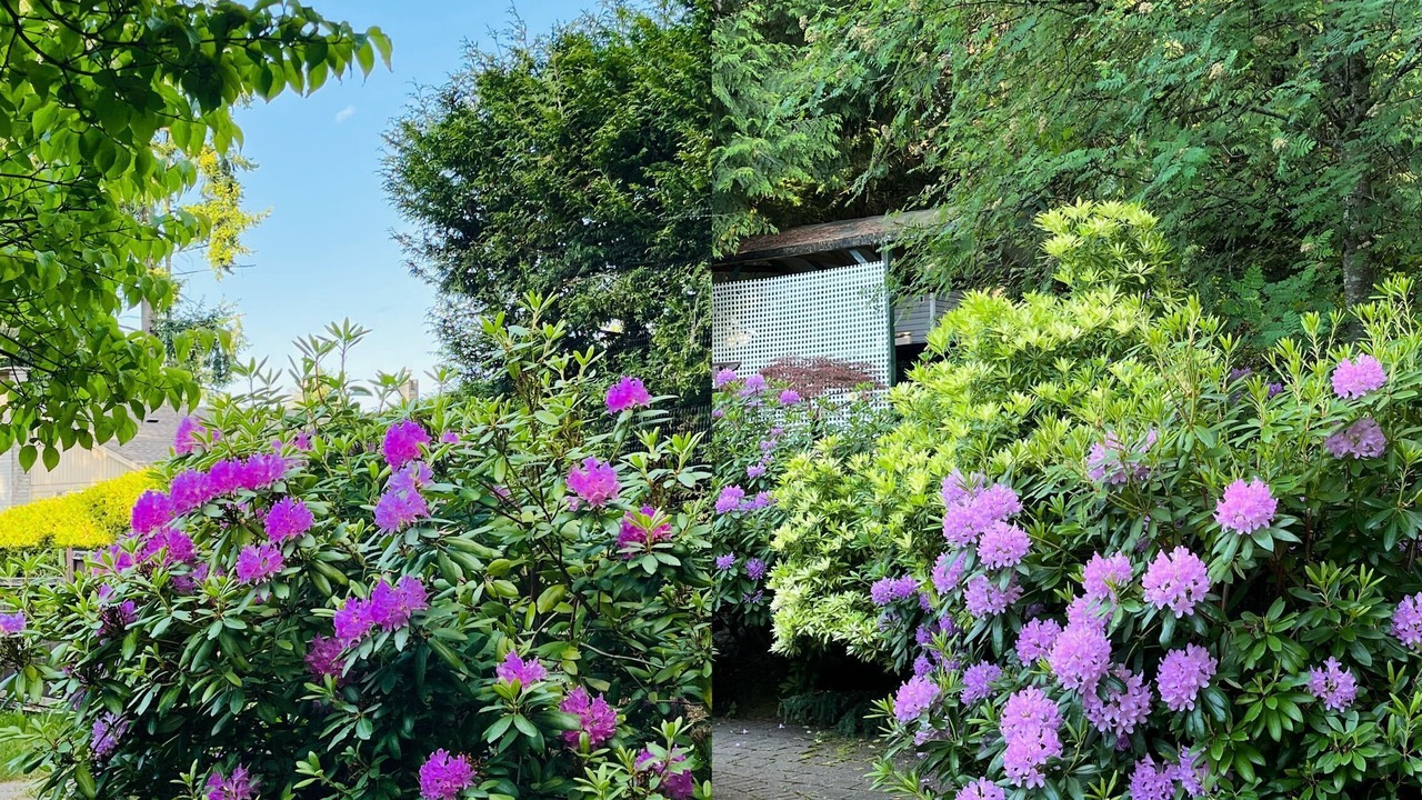Photo of Outdoor in Regional District of Nanaimo