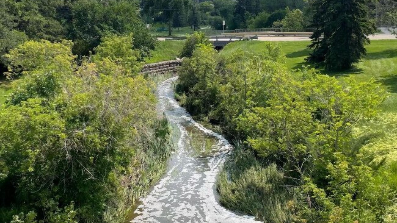 Photo of Outdoor in Camrose