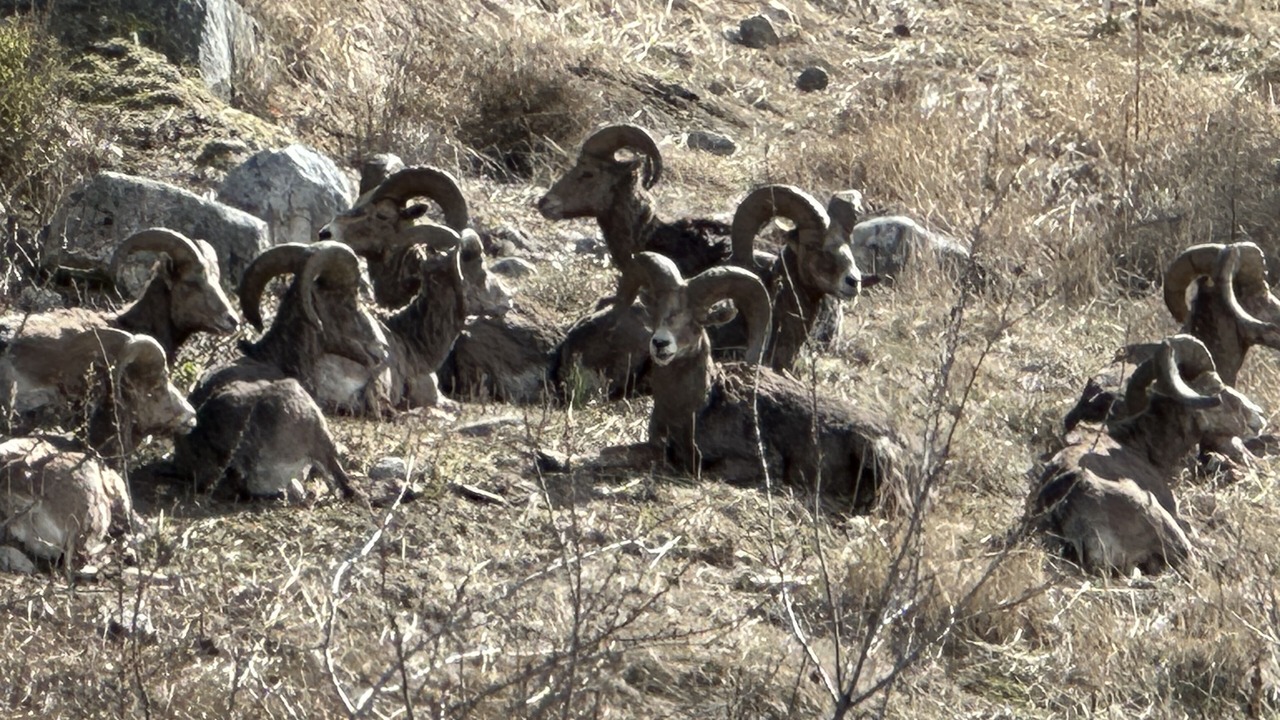 Photo of Others in Okanagan-Similkameen