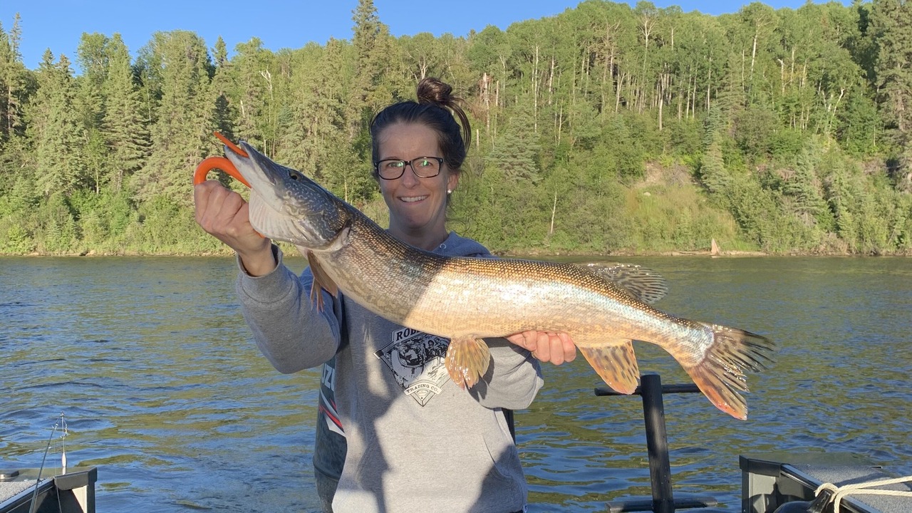Photo of Others in Nipawin