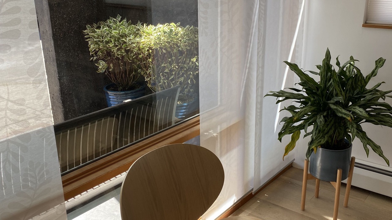 Photo of Others in Basalt