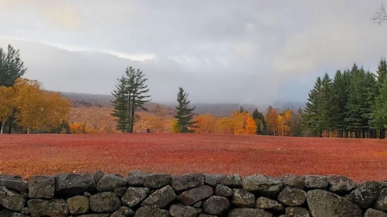 Photo of Outdoor in Randolph
