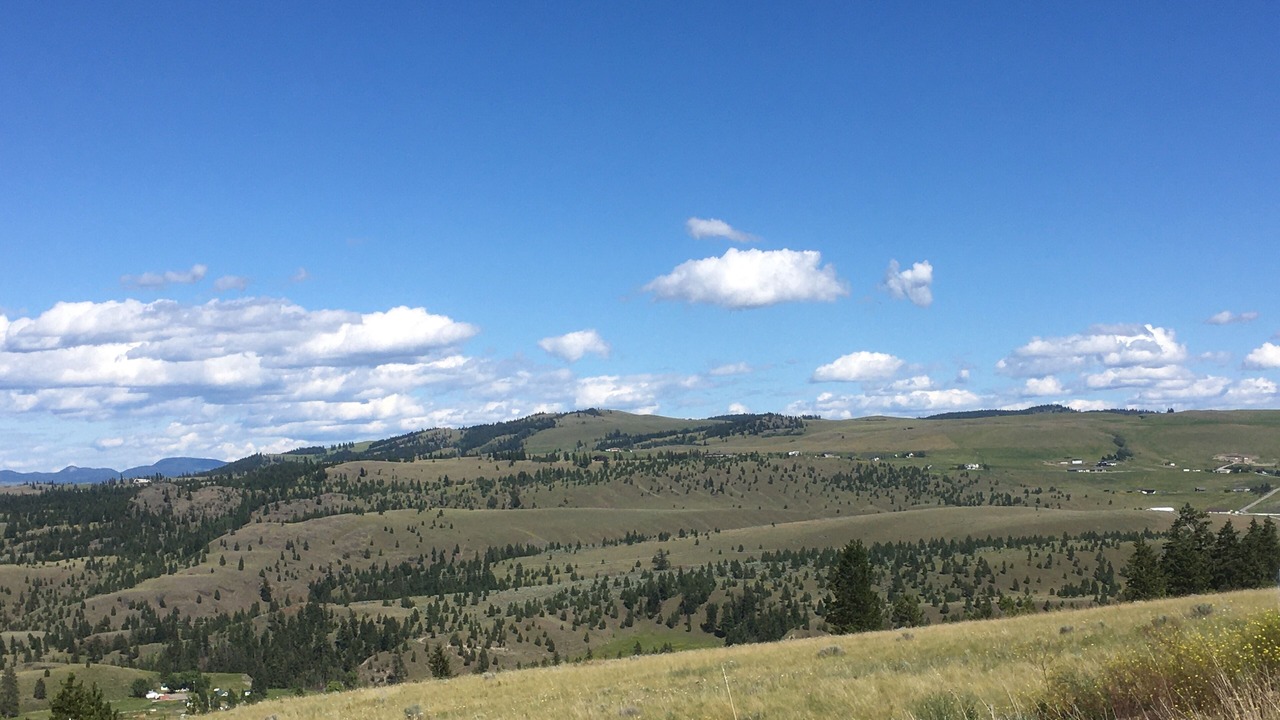 Photo of Others in Kamloops