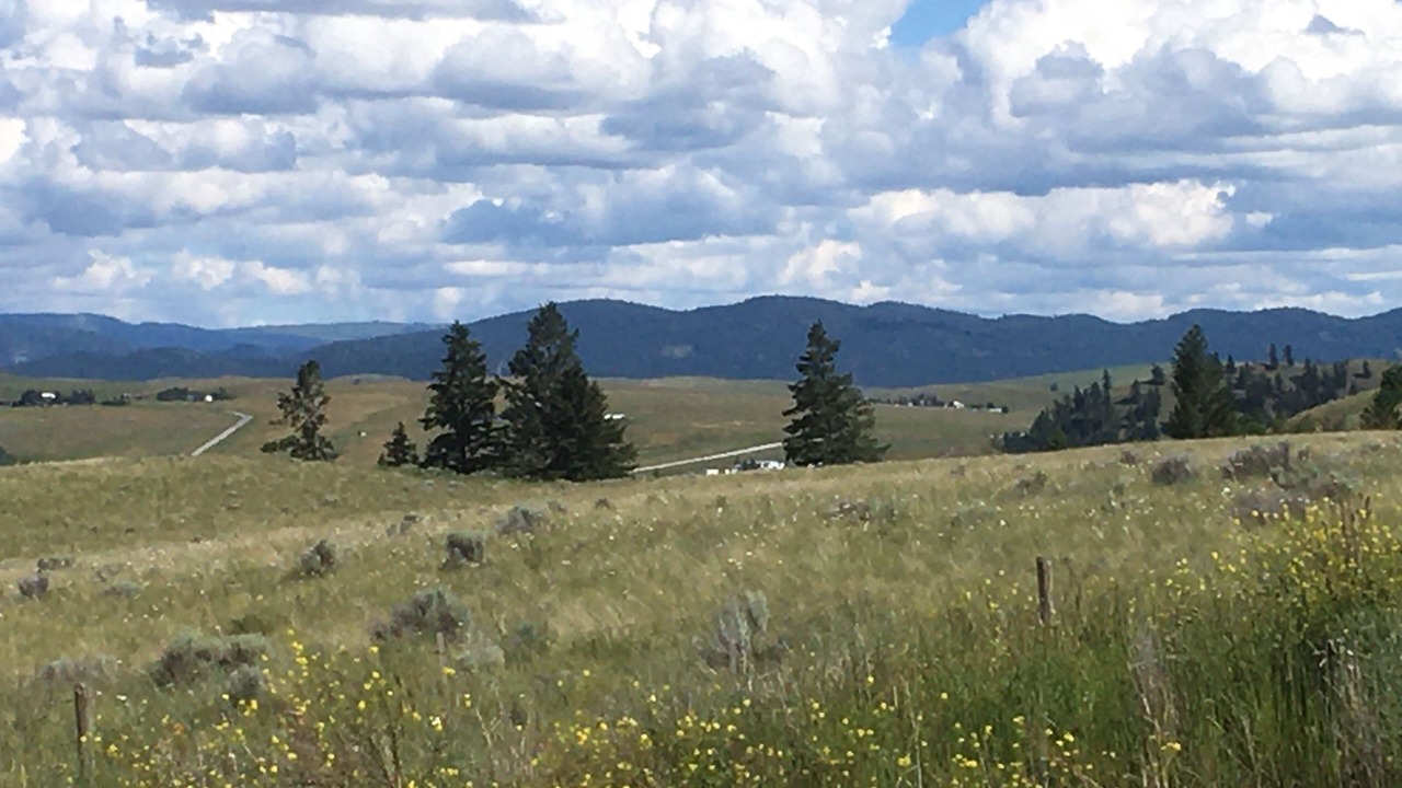 Photo of Others in Kamloops