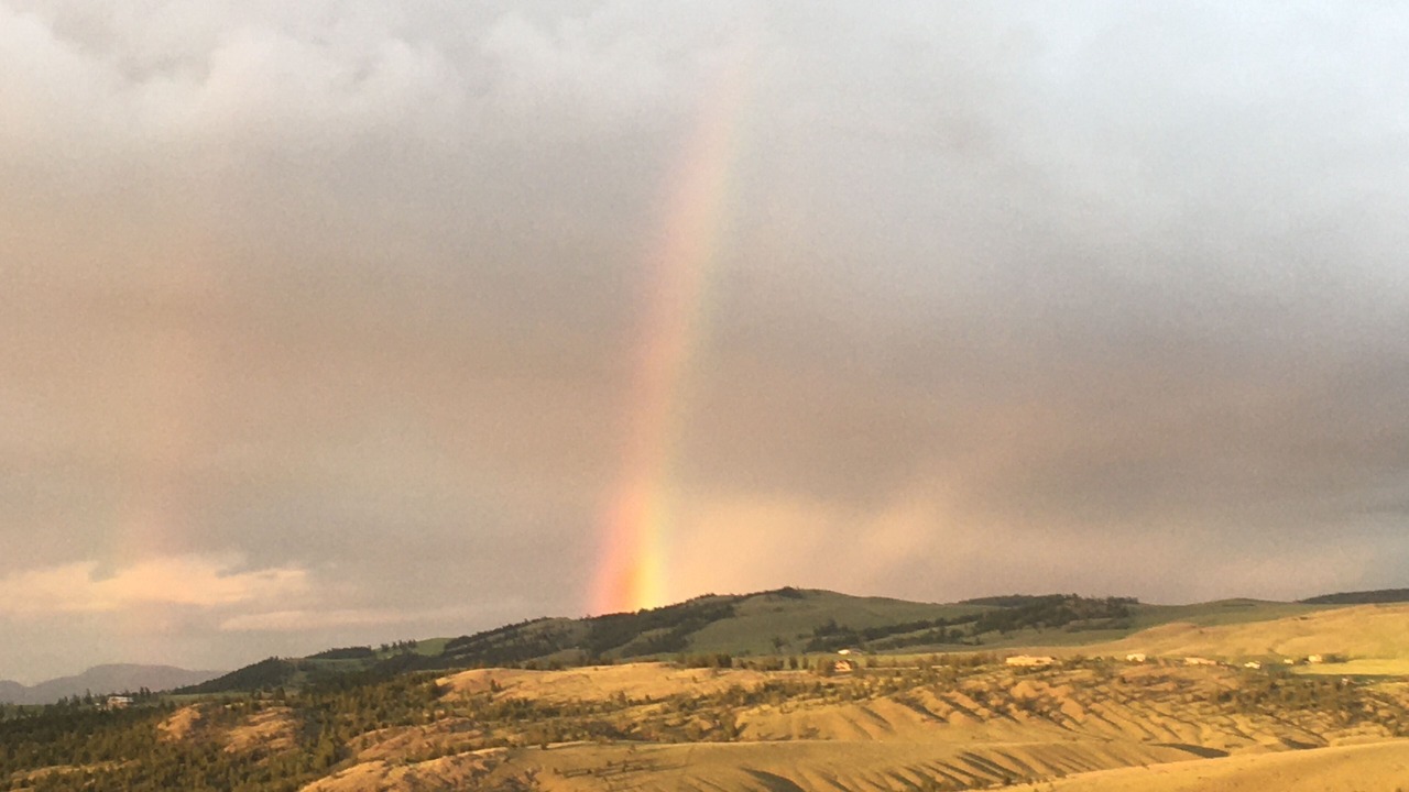 Photo of Others in Kamloops
