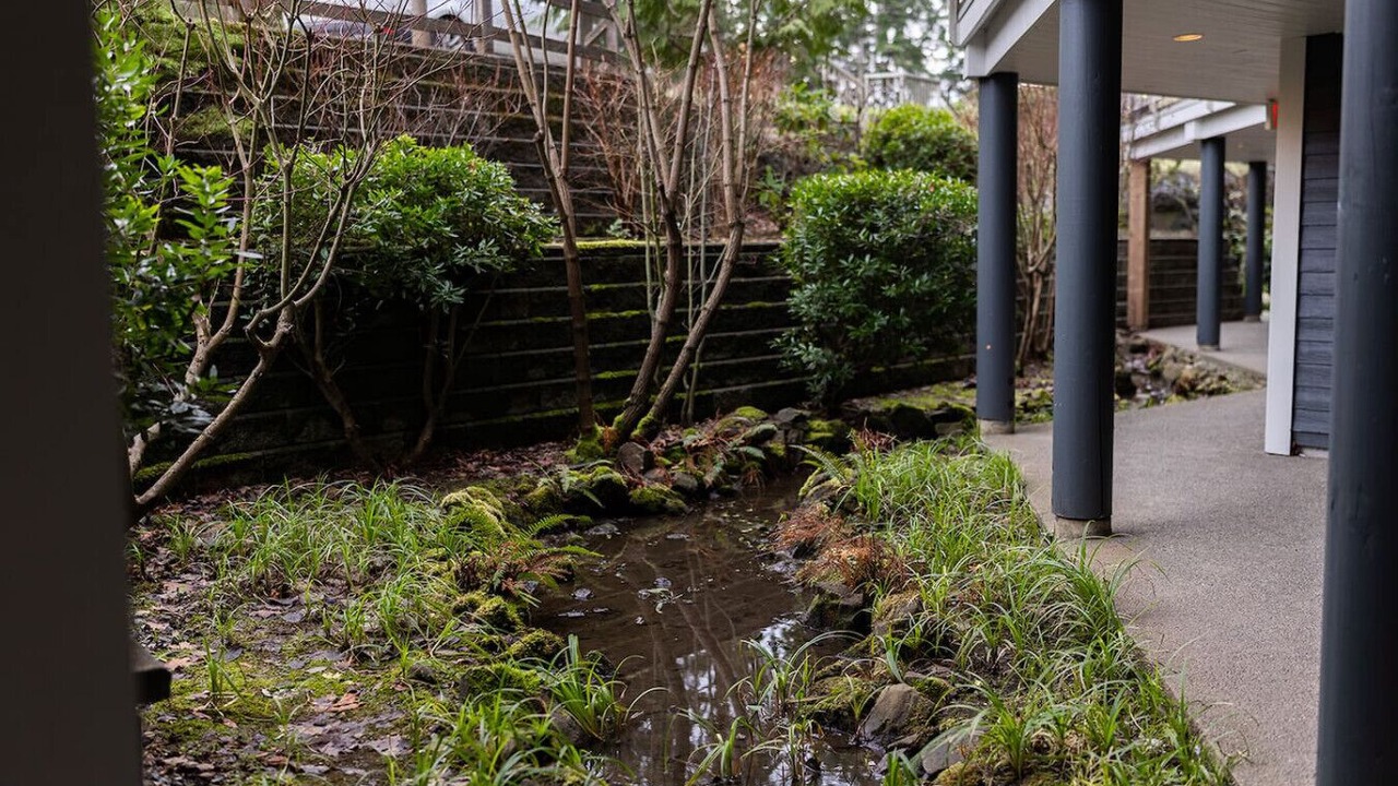 Photo of Outdoor in Regional District of Nanaimo