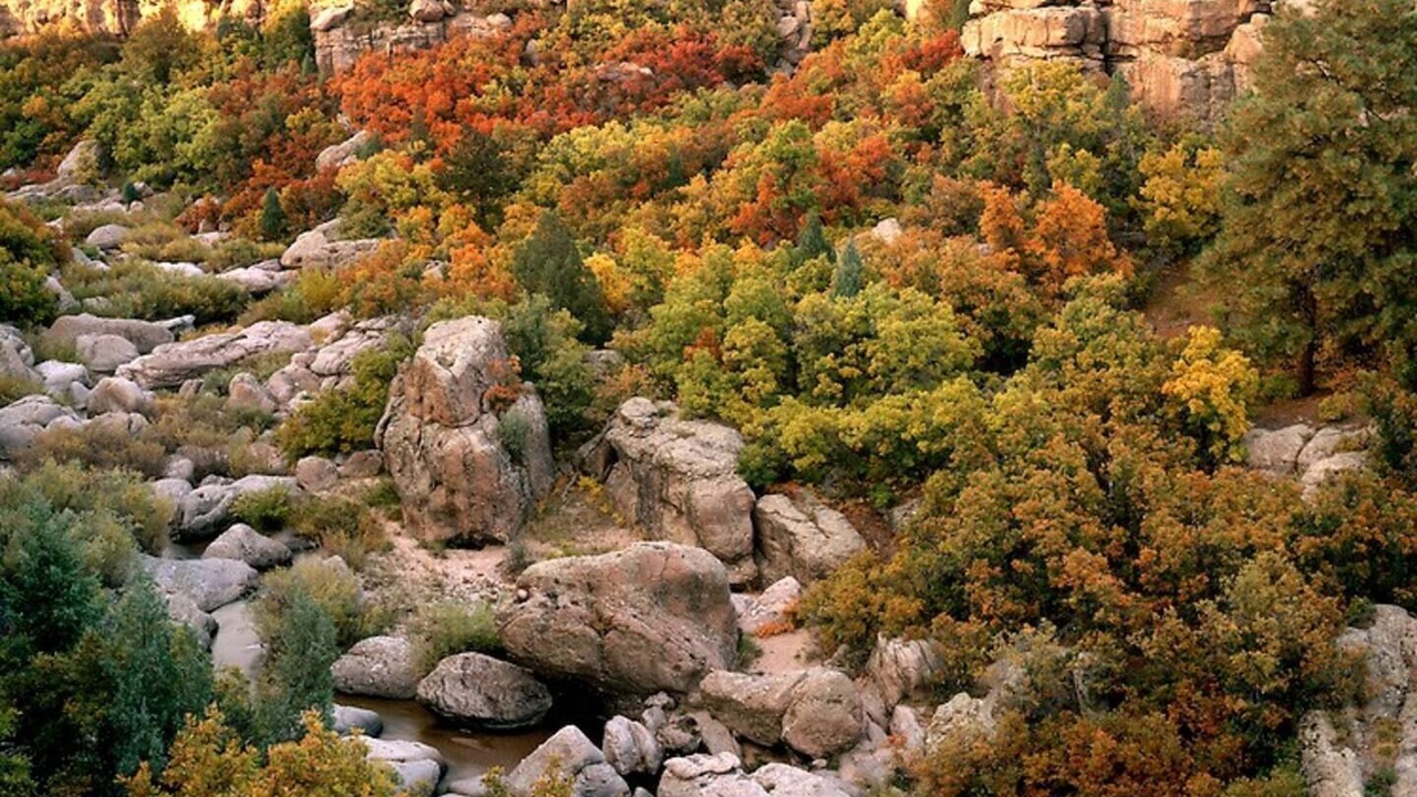 Photo of Others in Littleton