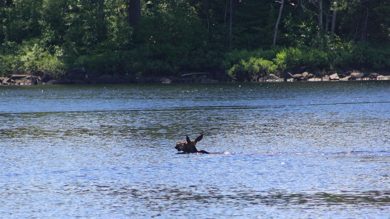 Photo of Outdoor in Dryden