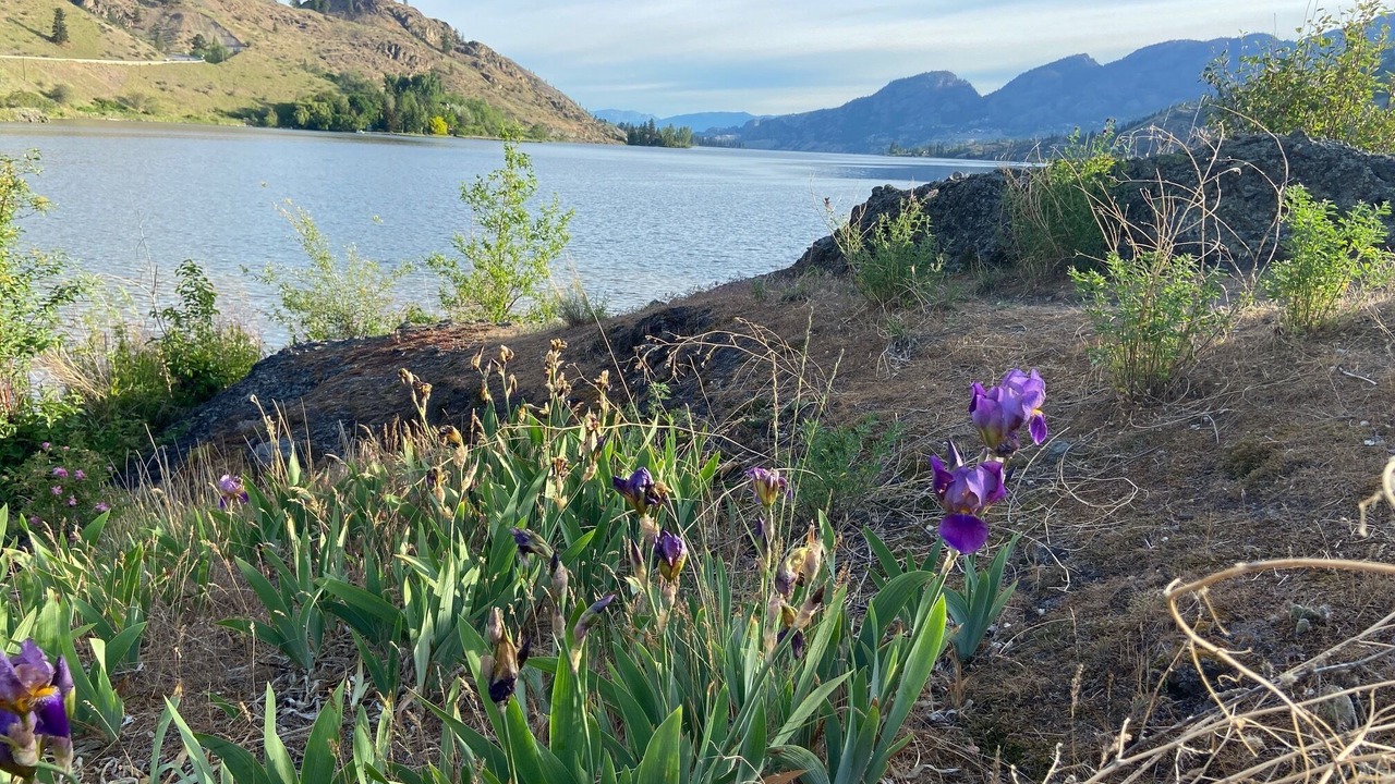 Photo of Outdoor in Okanagan-Similkameen