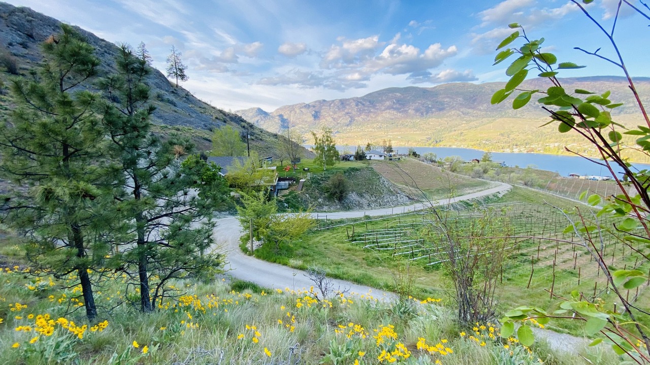 Photo of Outdoor in Okanagan-Similkameen